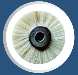 White Paisa Brush - OROSOL International